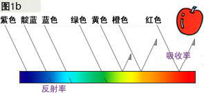 1627470623181658.jpg 2-2.jpg